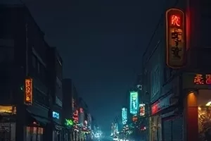 《独居生活手册》单人公寓封面